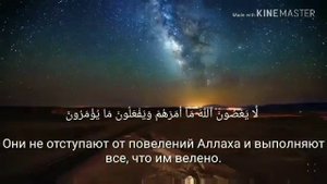 Успокаивающие чтение Корана сура Тахрим Islam Subhi