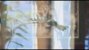 Забытый праведник.  Александр Свирский.