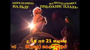 Цирк Нягань vk com