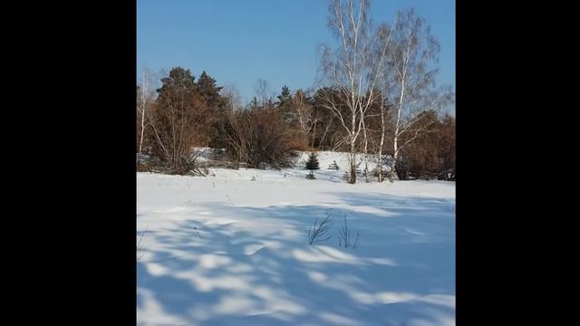 Связь с живой природой. Олег Гадецкий смотреть онлайн