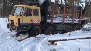 Tatra 8x8 лесовоз.