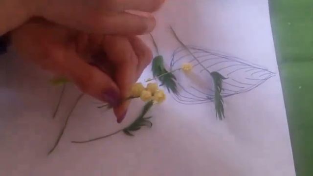 Мимоза из зефирного фоамирана Часть 2