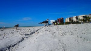 🔴 Sea gals 🔴 ЧАЙКА Вор в ЗАКОНЕ  Gulf of Mexico Florida USA December 20, 2018