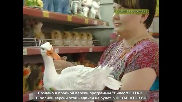 VLOG : как я снималась в рекламе))) смотреть онлайн