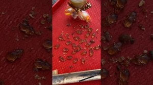 Кошельковые мышки ( 9 сильных обрядов на успех)