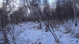 Охота на зайца!