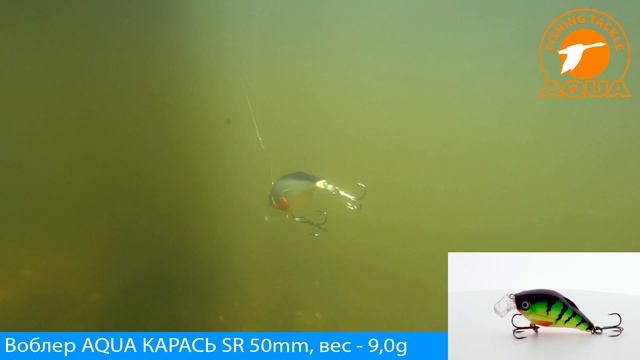 На то и воблер для рыбалки AQUA КАРАСЬ - что бы щука не дремала!