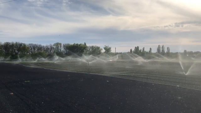 Rossiyada ismaloq yetishtirish выращивание шпината Spinach смотреть онлайн