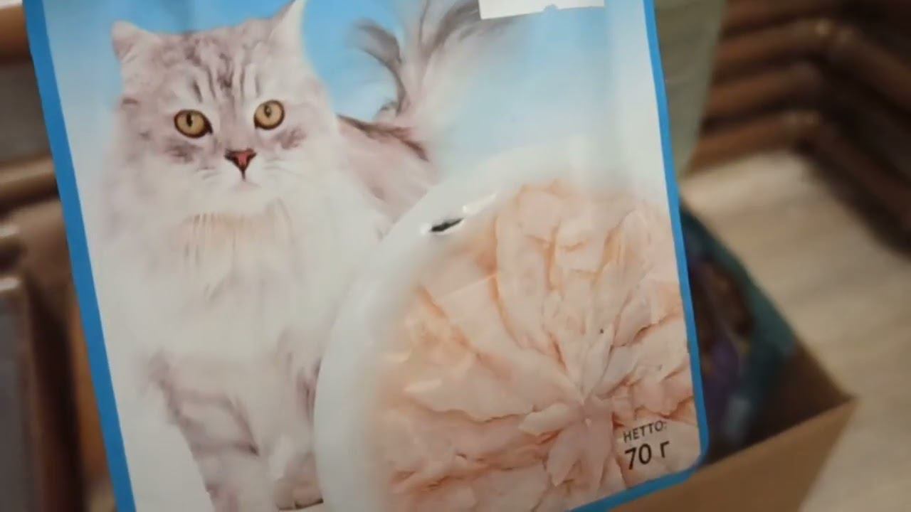 Утро начинается не с кофе... голодный кот - горе в семье  #кормдлякота #утроначинается