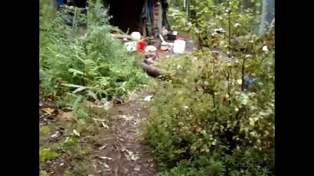 Холодное копчение рыбы.Две недели в тайге.Рыбалка в Карелии. смотреть онлайн