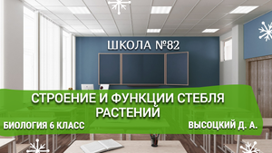 Строение и функции стебля растений. Биология 6 класс. Высоцкий Д. А.