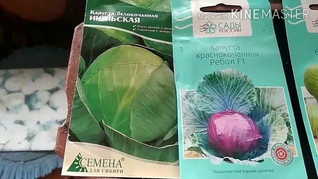 Отчёт о проделанной работе на 15 марта 2020 г. смотреть онлайн