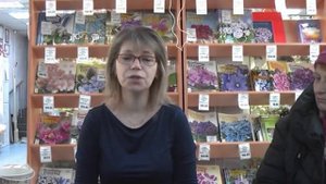 ДФ.Выращивание глоксиний и минисиннингий