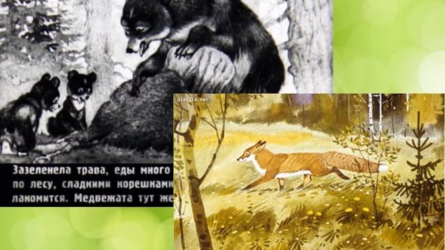 Георгий Скребицкий — певец природы