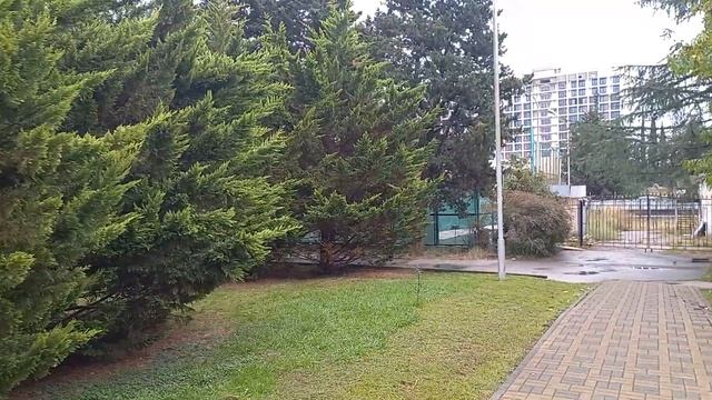 СОЧИ.АДЛЕРКУРОРТ. Парк возле корпуса Коралл.