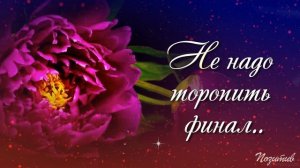 Не надо торопиться жить Душевные стихи о жизни, красивая музыка