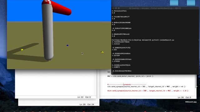CS 206 Assignment 5 - Random Search смотреть онлайн