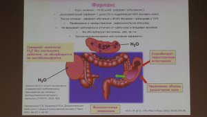 34 Баранская ЕК Неосложненный Дивертикулез Диагностика Лечение Профилактика Прогноз