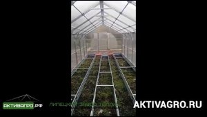 Видеообзор на теплицу Ударница Англичанка 40х20 мм 3х8 м шаг 1 м