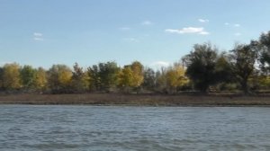 Бешеные щуки и большая поляна грибов Рыбалка и тихая охота в Астрахани