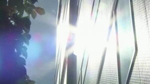 В Японии сильнейшая жара стала причиной сотен несчастных случаев