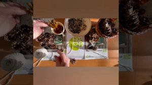 Мастер-класс "Кормушка из шишки"