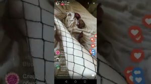 Мамки дома бритая