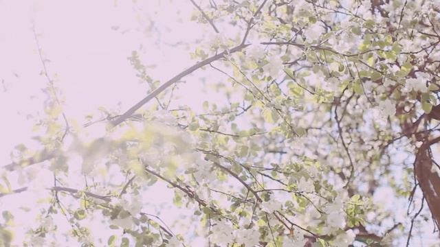 FAV PLACES IN MOSCOW | ЛЮБИМЫЕ МЕСТА В МОСКВЕ смотреть онлайн