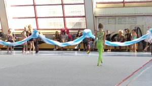 Мисс Николь 2011 булавы