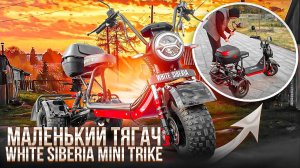 White Siberia mini trike- тащит!