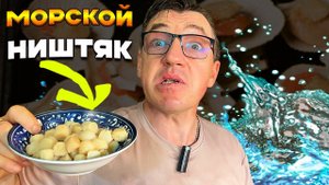 Как Приготовить Морские Гребешки  Вкусный и Быстрый Рецепт Гребешков на сковороде