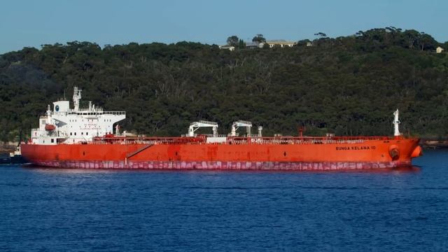 У берегов Сингапура скопилось более 1 млн тонн российского мазута смотреть онлайн