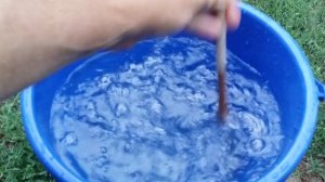 Применение Монофосфат калия на винограднике.mp4