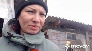 Не большое пополнение в хозяйстве ?