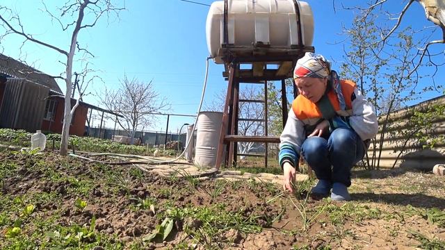 ЧТО У НАС ВЫРОСЛО В ОГОРОДЕ. ЖИЗНЬ У МОРЯ.