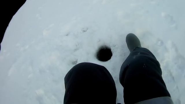 РЫБАЛКА В НИЖНЕМ ТАГИЛЕ И ЕГО ОКРЕСТНОСТЯХ!!! ПОСТАВИЛИ ЖЕРЛИЦЫ И ВОТ ЧТО ВЫШЛО! РЫБАЛКА НА ЖЕРЛИЦЫ