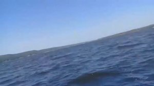 Флагман 280 ямах 4 л.с. волна