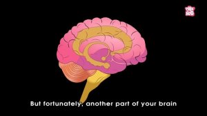 Why Do We Get Angry? | The Dr. Binocs Show | Best Learning Videos For Kids | Peekaboo Kidz