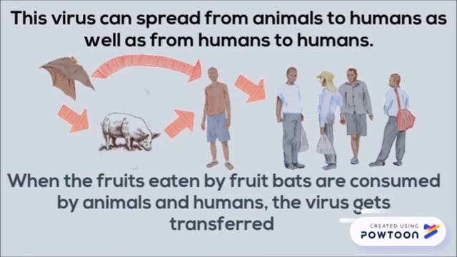 What is Nipah virus | symptoms | causes | Precautions