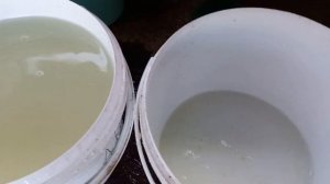 Триходерма и Метаризин. Можно нарастить на весь сезон.