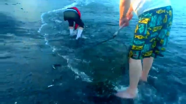 Камчатская мойва смотреть онлайн