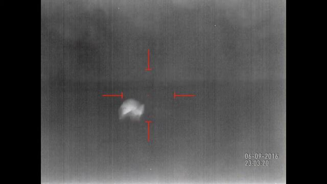 Попал по жирному кабану! С тепловизора - ATN MARS-HD 640! смотреть онлайн