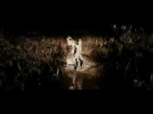 Гарри Поттер Ночной дозор