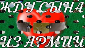 Проводы сына в армию!