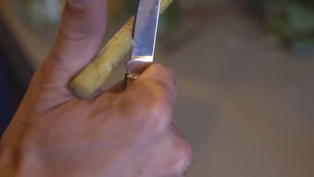 Флористика в деталях от Меликова Низама. Блог флориста