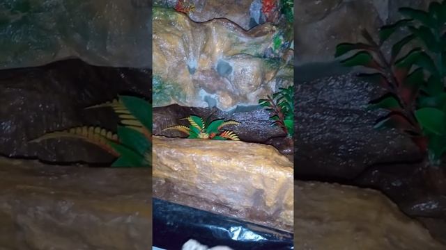 Сравнение ЛАКА ДЛЯ КАМНЯ | Лак NEOMID и его минусы | Лак из пенопласта лучше!!!! смотреть онлайн