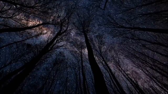 Музыка покоя.Эти трогательные чарующие мелодии дарят Мир Душе. смотреть онлайн