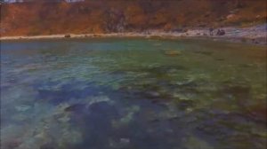 МЫСС СОСНОВЫЙ Дальний Восток Приморский край заповедник