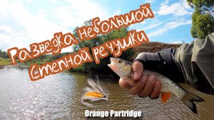 Разведка одной степной речушки. нахлыст