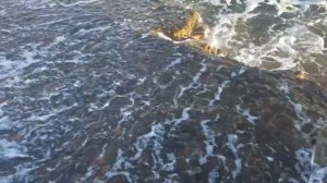 Хургада.Красное море,отель Sunny Days,прилив